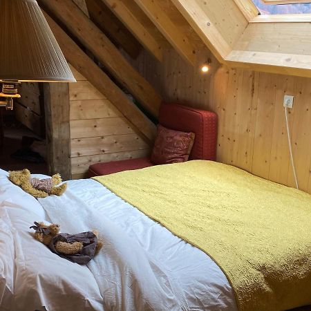 Le Bel Appartement De Montagne بيلوفو المظهر الخارجي الصورة