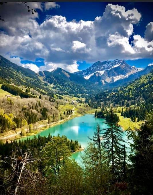 Le Bel Appartement De Montagne بيلوفو المظهر الخارجي الصورة